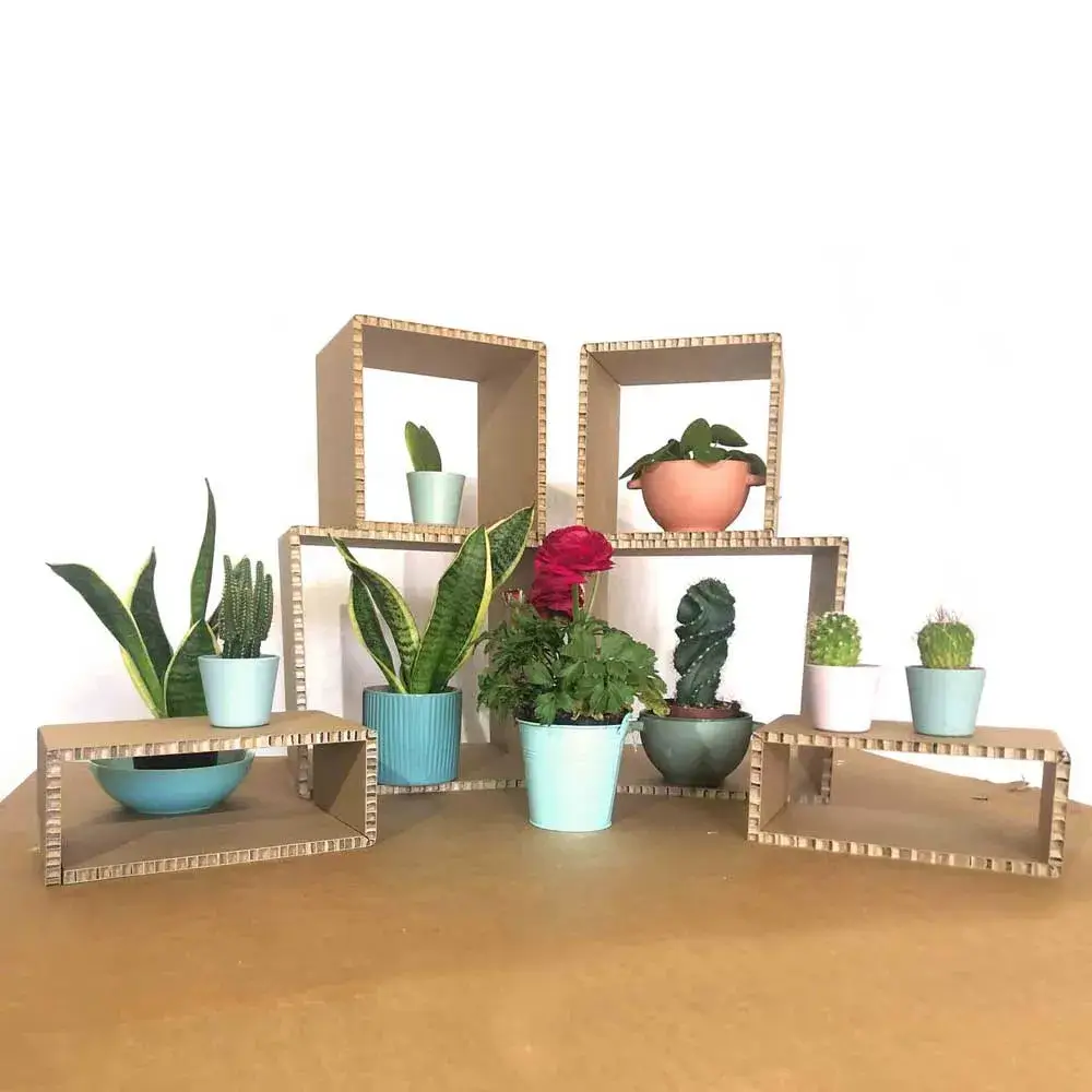 display riser